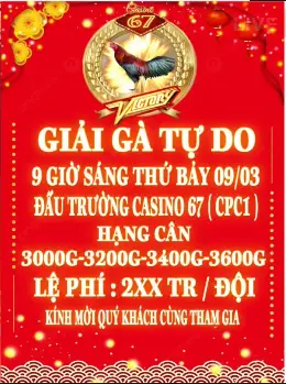 giải gà tự do 9-3-2024 lệ phí 2xx cpc1