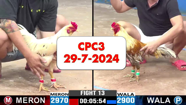 Đá gà thomo CPC3 ngày 29-7-2024