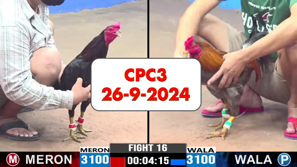 Đá gà thomo CPC3 ngày 26-9-2024