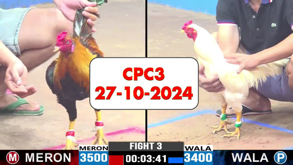 Đá gà thomo CPC3 ngày 27-10-2024